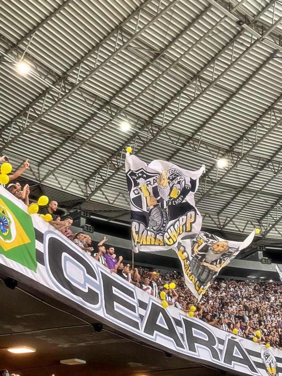 Foto do álbum ARENA VOZÃO